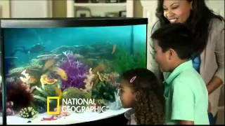 Petsmart National Geographic Commercial 2014