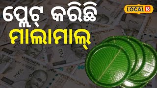 Paper plate manufacturers:ପେପର ପ୍ଲେଟ୍ ବିଜନେସ୍ କରି ଲୋକଙ୍କୁ ଯୋଗାଇଛନ୍ତି ଚାକିରି..income idea #local18