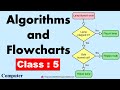 Algorithms And Flowcharts || Class - 5 Computer || CBSE / CAIE || ICT Education ||