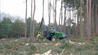 excavating stumps.wmv