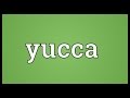 Yucca Meaning