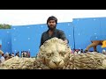 Director SS Rajamouli rehearses Bahubali scene | Prabhas | Shreyas Media