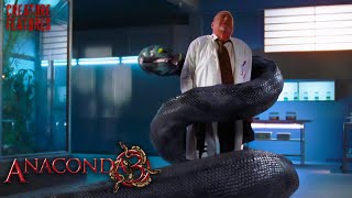 Mutated Killer Snake On The Loose | Anaconda 3: Offspring | Creature Features