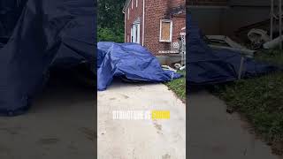 Cleanup continues storm topples tree falls in northwest Baltimore