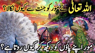 Allah tallah nay mor ko jannat sy Kew Nikala?|Why Allah remove peacock from jannat? | Sundal voice