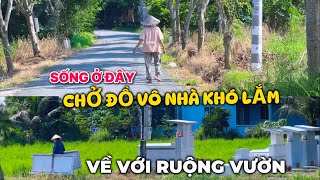 Thấy Cảnh Bình Yên Bên Đường Vùng Hạ Cần Giuộc Ngày Nay | Về Với Ruộng Đồng Mùa Gần Tết