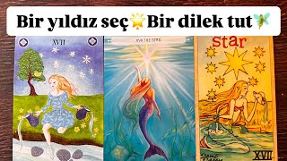 Bir yıldız seç 🌟yeni yıl dileği tut🧚💫