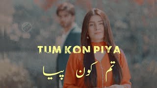 Tum Kon piya with Urdu lyrics | Aesthetic |#ost #lytics to
