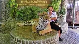 แนะนำสถานที่ท่องเที่ยวในพัทยา อุทยานหินล้านปีและฟาร์มจระเข้พัทยา