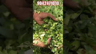 சிறிய அளவில் வெட்டி தரும் MASTER CHAFF CUTTER | VISIT NOW BUY BUY  | SUBSCRIBE NOW |