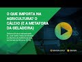 O que importa na Agricultura? O cálcio (e a metáfora do Solo e da Geladeira)