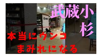 【悲報】武蔵小杉　本当にウンコまみれになる