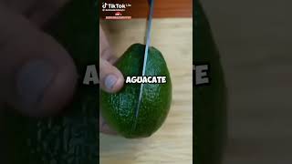 Que hay dentro del aguacate 🥑