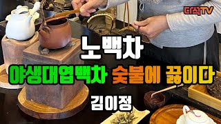 백차 끓여서 마시는 법 1994년 노백차 2022년 야생대엽백차 아사가차관 김이정