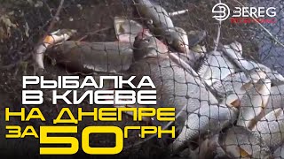 Рыбалка в Киеве на Днепре за 50 грн