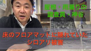 床のフロアマットに隠れていたシロアリ被害　開けてビックリの被害でした！