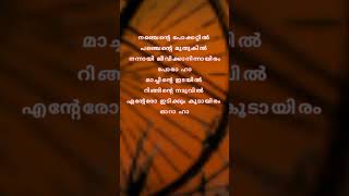 നഞ്ചെന്റെ പോക്കറ്റിൽ #shortvideo #malayalamsonglyrics