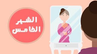 دليلك لمراحل تطور الحمل: الشهر الخامس | Month Five of your pregnancy