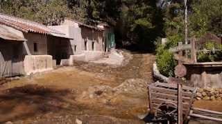 洛杉磯 環球影城 大洪水 LA Universal Studio flood