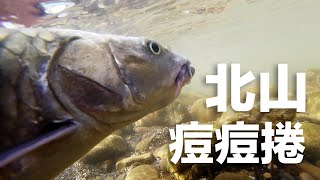 20230729 - Lure Fishing Fun 路亞小搞搞 #北山 #捲仔 #何氏棘魞 #黑康23