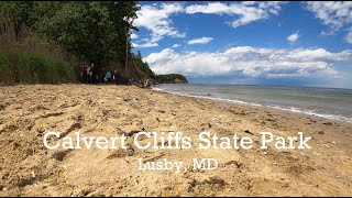 State Park Spotlight - Calvert Cliffs State Park