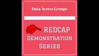Data Access Groups