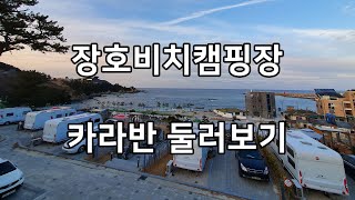 삼척 장호비치캠핑장 카라반 리뷰