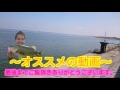 【バス釣り】ポンパドールjrでガボッとでたよ！【 bass fishing】