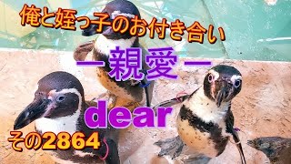 俺と姪っ子のお付き合い－親愛－その2864 dear