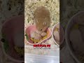 倉鼠不會告訴你的養鼠細節 the details of raising a hamster that your hamster won’t tell you