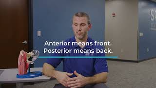 The Difference Between an Anterior and a Posterior Hip Replacement