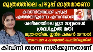 മൂത്രത്തിൽ ഇൻഫെക്ഷൻ വന്നാൽ ഈ 4 കാര്യങ്ങൾ ചെയ്യരുത് |ശരീരത്തിലെ ഈ മാറ്റങ്ങൾ ശ്രദ്ദിച്ചാൽ മതി