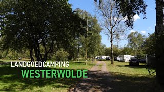 Landgoedcamping Westerwolde - Veluwe (NL) - ★★★★★