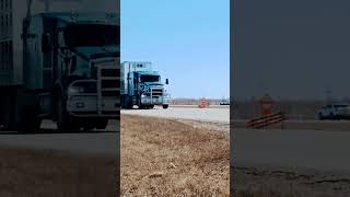 Kenworth - Cattle Truck