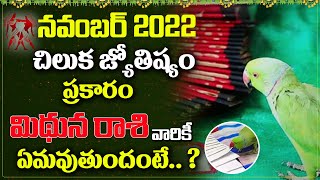 చిలుక జ్యోష్యం | CHILUKA JYOSHYAM MITHUNA RASI 2022 | NovemberMITHUNA RASI Phalalu| Parrot Astrology