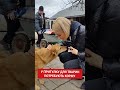 ❤️‍🩹🐶 Допомогти чотирилапим друзям кормом – закликають волонтери