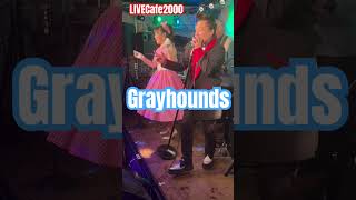 【 LIVECafe2000】毎月出演中！[ライブカフェ2000]で検索#グレイハウンズ #grayhounds  #ライブカフェ2000  #shorts  #オールディーズ