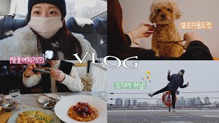 [연휴 VLOG] 나는야 명절 한정 효녀😇 • 두부 셀프 미용하기 • 한 달만에 러닝 •   오빠가 열연한 비오템 옴므 광고(?)