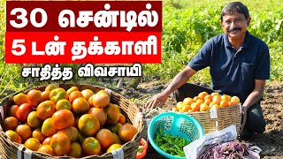 30 சென்டில் 5 டன் தக்காளி மகசூல்... வழி சொல்லும் விவசாயி! #PasumaiVikatan #Tomatto