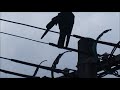 crow on electrical wire　カラスが電線の上で毛づくろいなどしている様子