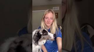 動物234｜當寵物們被親親時的反應，主人立馬融化..... | How pets react when they are kissed