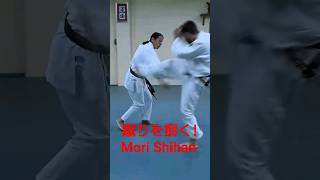 「蹴りを捌く」森道治師範八段 [ Self-defense ] Goshu-Ryu Aiki Jujutsu AUS 豪州流合氣柔術