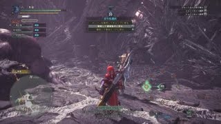 【MHW】ベヒーモス戦　最終エリア　０乙　０個メット　２人ジャンプクリアwww