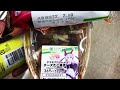 【ウマ娘】みんなー！ウマ娘のファミマコラボ商品買って来たよー＼ ^o^ ／　 ウマ娘 ウマ娘プリティーダービー ファミマ ゴルシ　 ゴールドシップ トウカイテイオー はちみー