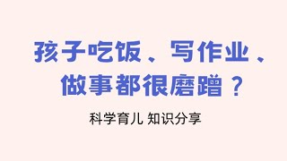 孩子吃饭、写作业、做事都很磨蹭？