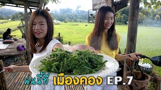 ฝนนี้ที่เมืองคอง EP.7 ผัดซาโยเต้น้ำมันหอยทอดไข่เจียวบ้านๆลำขนาดเจ้า Cooking thai foods