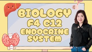 【中文讲解】KSSM Form 4 Biology Chapter 12 Endocrine System