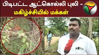 பிடிபட்ட ஆட்கொல்லி புலி - மகிழ்ச்சியில் மக்கள் | Tiger caught