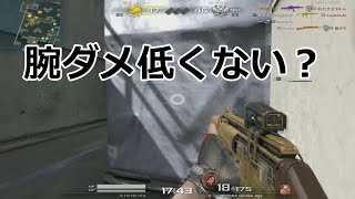 【AVA】いろぶき！一時期韓国で使われてた良さそうな武器【MP5SD5 Golden Age】