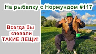 Всегда бы клевали ТАКИЕ ЛЕЩИ! / На рыбалку с Нормундом #117